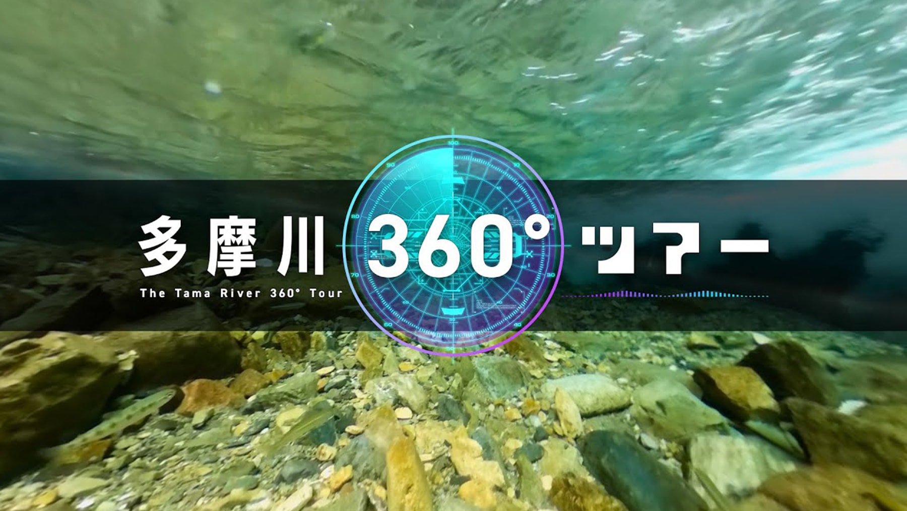 デジタルでみる東京自然いきもの展