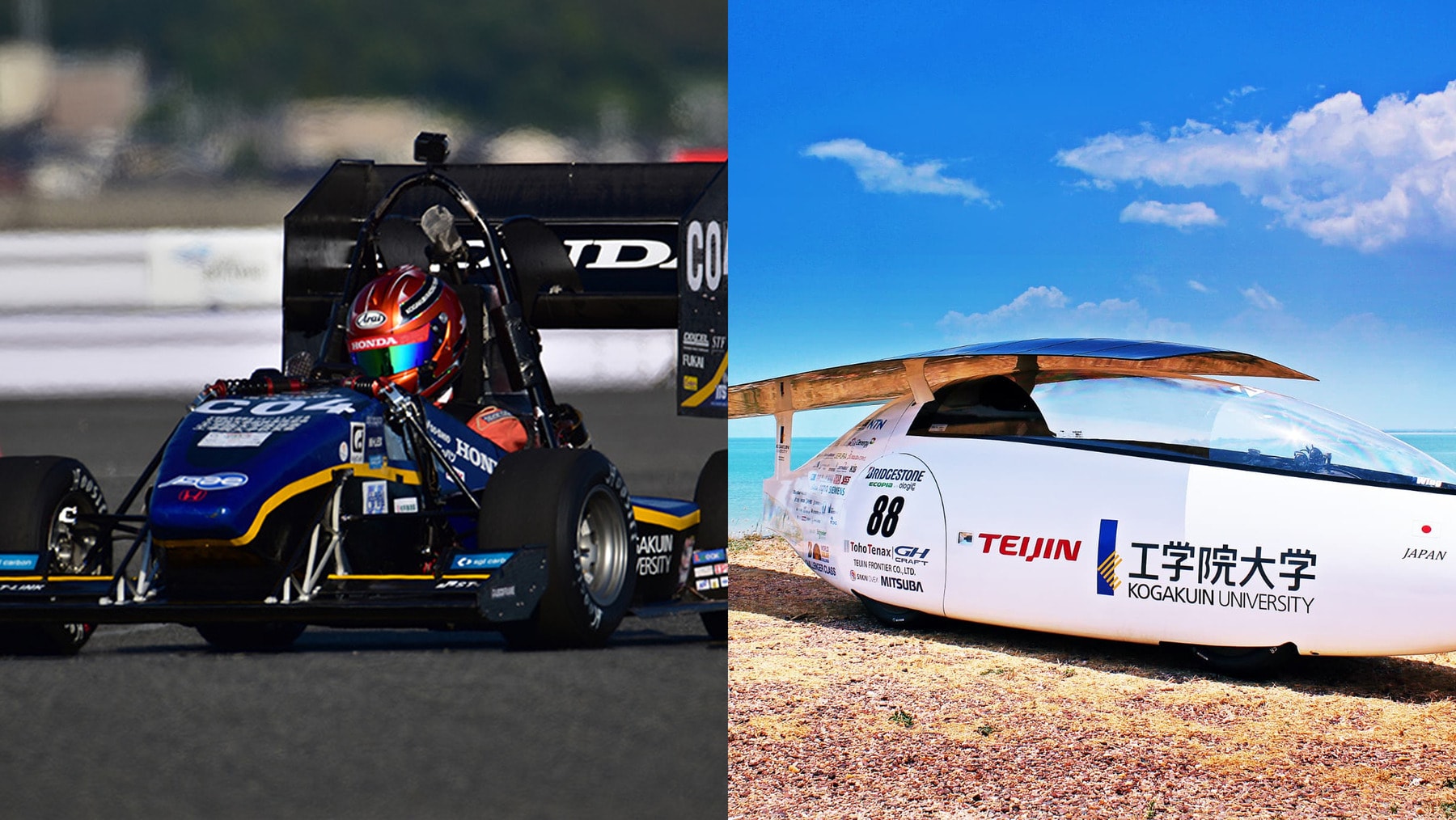 工学院大学（11号街路）